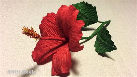 To make the hibiscus buds, use the tissue paper to form the bud core and use a green paper wrap over it and glue it. How to make diy hibiscus crepe paper flower tutorials|Hibiscus flower origami|paper craft ...