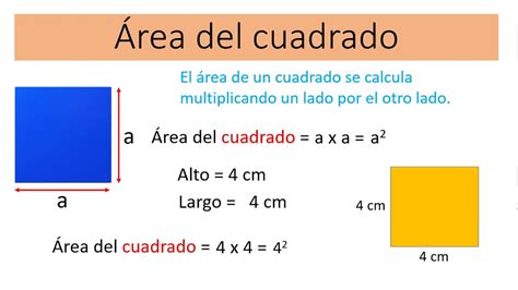 Formula De Como Calcular El Area De Un Cuadrado Printable Templates Free
