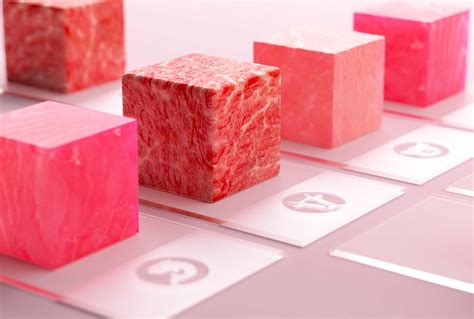 Accelerating the cultured meat revolution | New Scientist