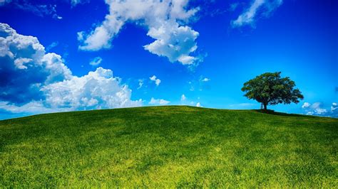 Desktop Wallpaper Hill Tree Landscape Nature Sky Clouds Hd Image