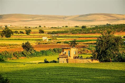 What Are The Major Natural Resources Of Syria Worldatlas