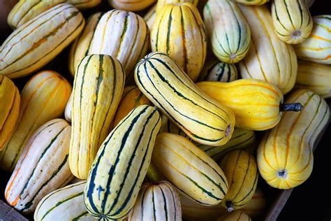 Winter Squash Best Varieties Growing Guide Care Problems And Harvest