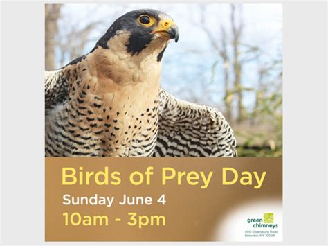 Birds Of Prey Day The North Salem Post