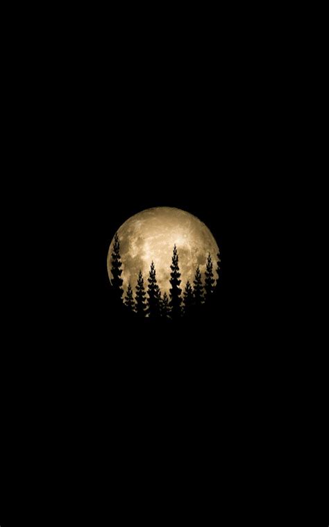 Download Wallpaper 800x1280 Moon Full Moon Trees Silhouette Black