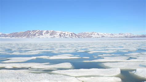 Global Heating Driven Ice Melt Could Result In Blooms Of Potentially