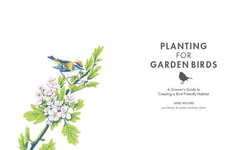 Planting For Garden Birds A Growers Guide To Creating A Bird Friendly