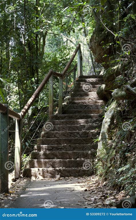 Natures Staircase Stock Photo Image Of Australia Path 53309272