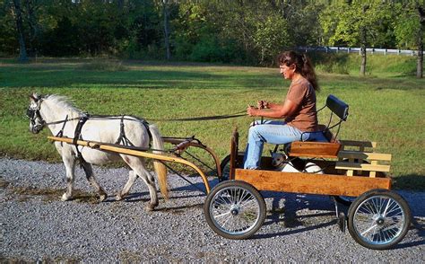 The Amazing Ez Trainer Horse Wagon Miniature Horse Mini Horse Cart