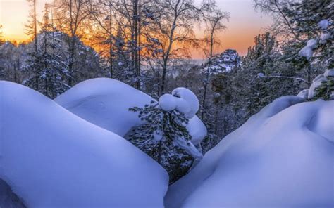 Snow Covered Rock And Trees With Snow During Sunset Hd Winter