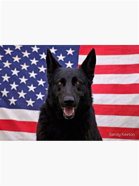 Black German Shepherd Usa Poster For Sale By Sandyk Redbubble