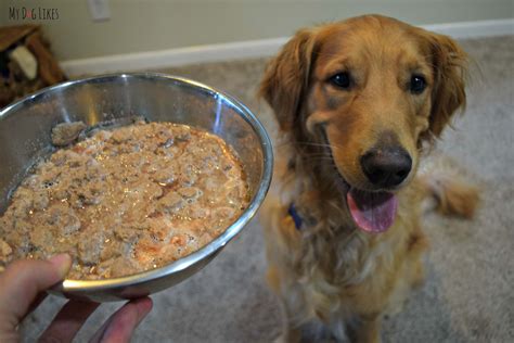 Thus, it's not inherently toxic for humans and may. How to Get a Picky Dog to Eat - Tips, Tricks and Tools