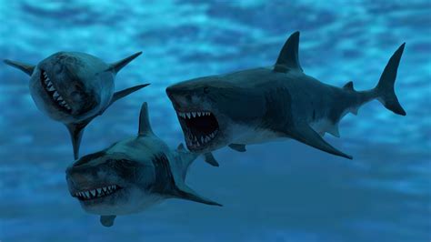 Artstation Great White Shark Model 7 Animations Pack Game Assets