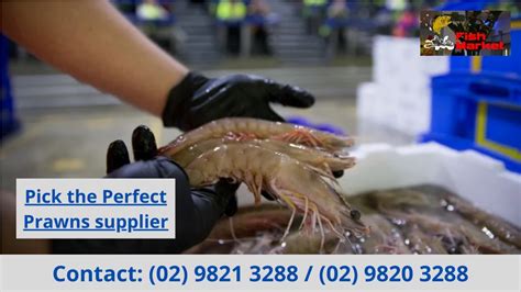 Ppt Pick The Perfect Prawns Supplier Powerpoint Presentation Free