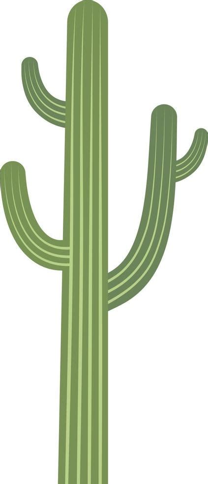 Cactus Vector Illustration 10946260 Vector Art At Vecteezy