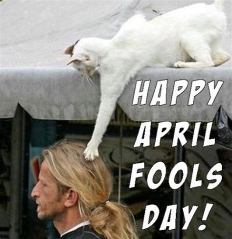 Top 10 Very Funny April Fools Day Cat Jokes