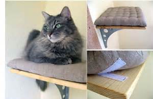 They revel in the occasional time. Adopt-a-Pet.com Blog DIY Cat Climbing Shelves - Adopt-a ...