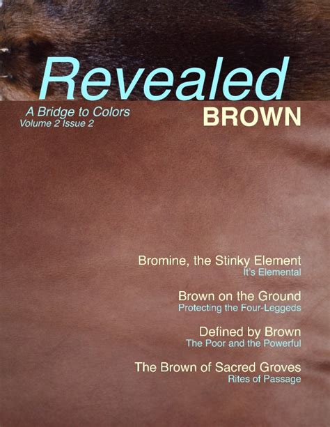 Revealed Colors Vol2 No 2 Brown By Patricia Lee Harrigan Blurb Books