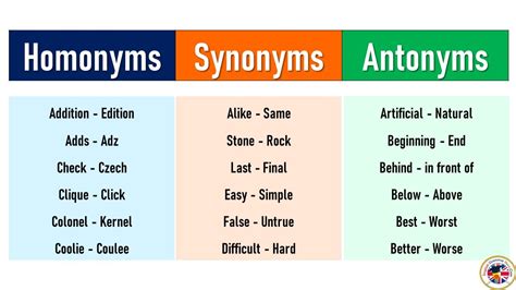 Homonyms Synonyms Antonyms Words List In English Youtube