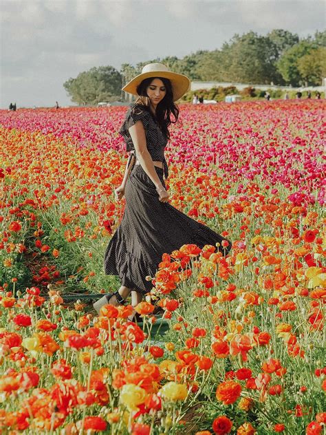 Find, research and contact wedding professionals on the knot, featuring reviews and info on the best wedding vendors. Carlsbad Flower Fields — Lo Botkin | Carlsbad flower ...