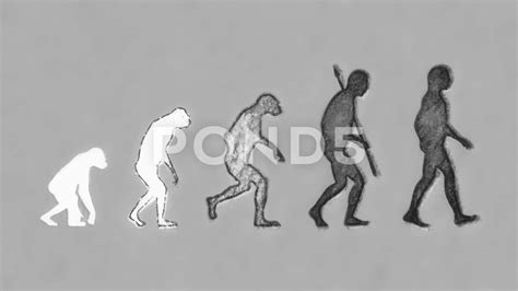 Details More Than 81 Human Evolution Sketch Best Vn