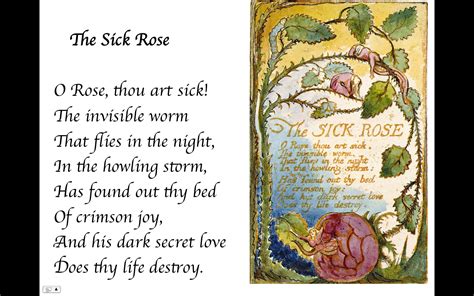 The Sick Rose Essay