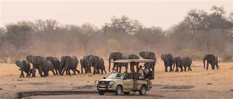 African Safari Tours Part 3 Zimbabwes Trio Of Safari