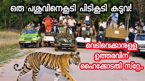 T23 Maneater Tiger Chasing In Nilgirisrahim Vlogsmasinagudi Youtube