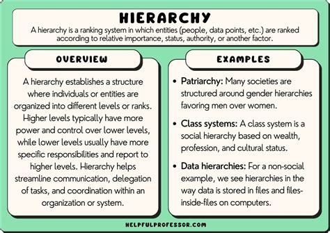 15 Hierarchy Examples 2024