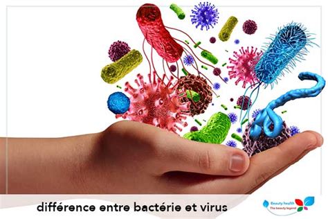 Différence Entre Bactérie Et Virus Monde Caché