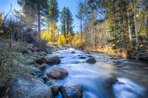 Free Images Landscape Tree Nature Forest Rock Wilderness Leaf