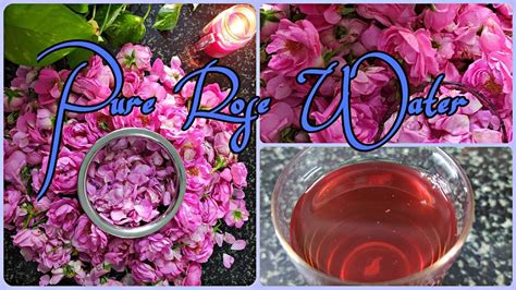 See comprehensive translation options on definitions.net! Homemade Pure Rose Water In Tamil | And Its Benefits ...