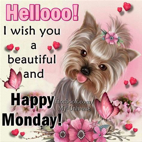hellooo i wish you a beautiful and happy monday happy monday images monday morning quotes