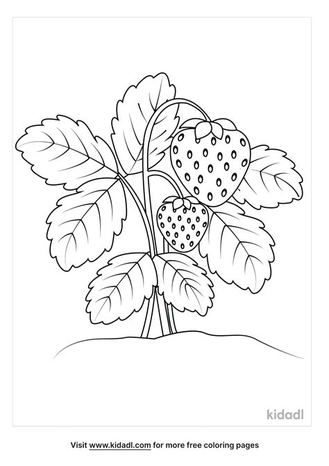 Free Strawberry Plant Coloring Page Coloring Page Printables Kidadl
