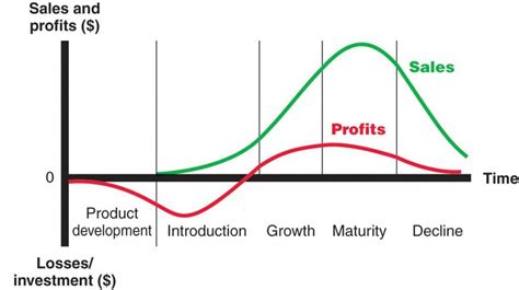 Do You Know The Phases Of A Product Life Cycle Nextpage Sexiz Pix