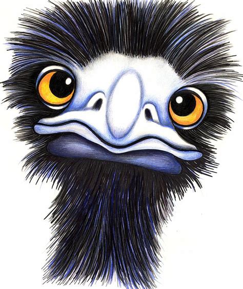 Emu Drawing At Getdrawings Free Download