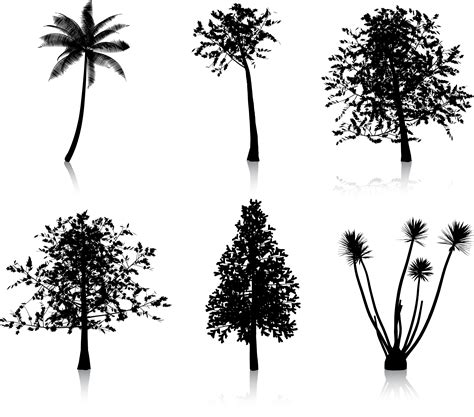 Tree Silhouettes Vector Art At Vecteezy