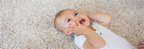 You can see how to get to ashburn carpet cleaning on our website. Carpet Cleaners Ashburn VA - Carpet Cleaning Ashburn