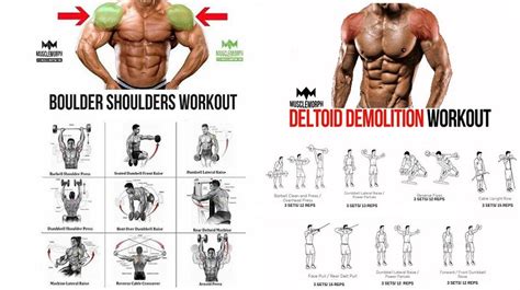 Shoulder Workouts The Complete Guide To Delts Training
