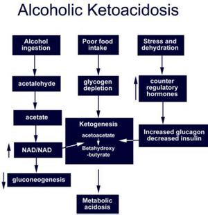 Alcoholic Ketoacidosis WikEM