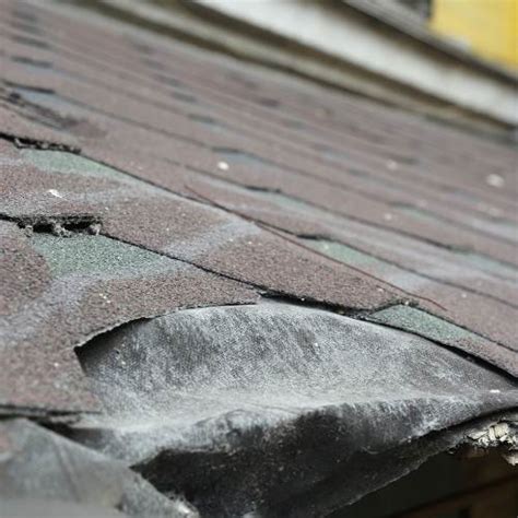 Emergency Roof Repair Tips Every Homeowner Should Know