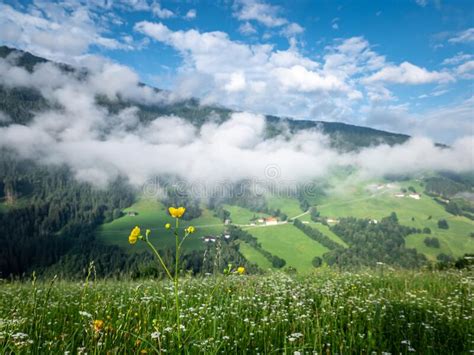 Meadow In The Alps After Rain Stock Image Image Of Alps Pasture 118716273