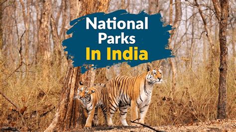 National Parks In India Samundragyaan Education Foundation
