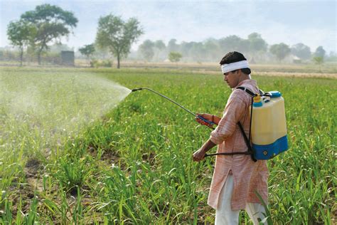 Épandage De Pesticides Dans Un Champ Inde
