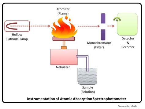 The technique makes use of the wavelengths of light specifically absorbed by an. B for Biology: Spectrophotometry - Atomic Absorption ...
