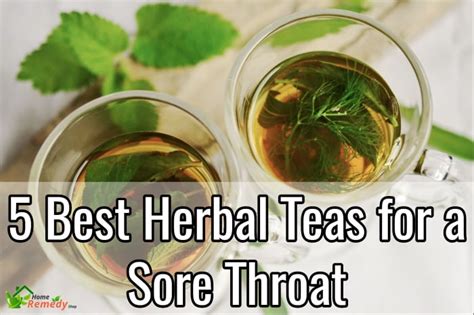 5 Best Herbal Teas To Soothe A Sore Throat Home Remedies