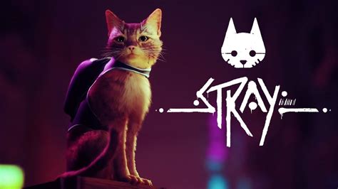 Stray Day One Patch Includes Improved Navigation Lots Of Collision