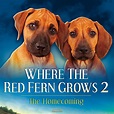 Where the Red Fern Grows: Part Two (1992)