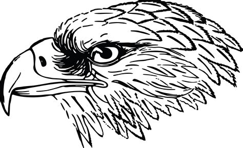 Download free american flag png with transparent background. Free Clipart Of A Black and White Falcon or Eagle Head