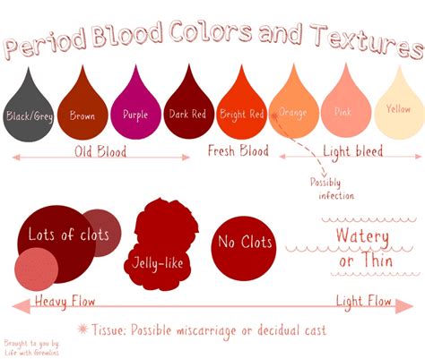 What Is Your Period Blood Telling You — Freya Graf Yoni Mapping