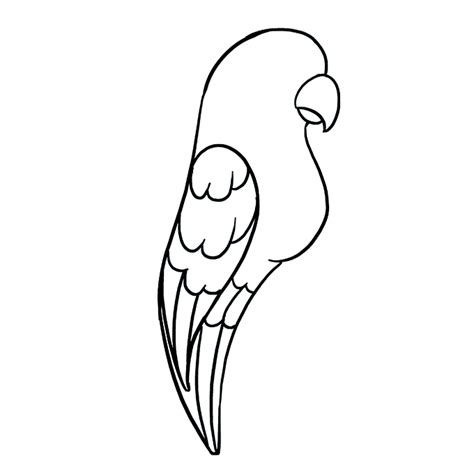 How To Draw A Parrot Really Easy Drawing Tutorial Unianimal